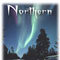 northern lights bni logo