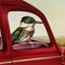 birds with car painting